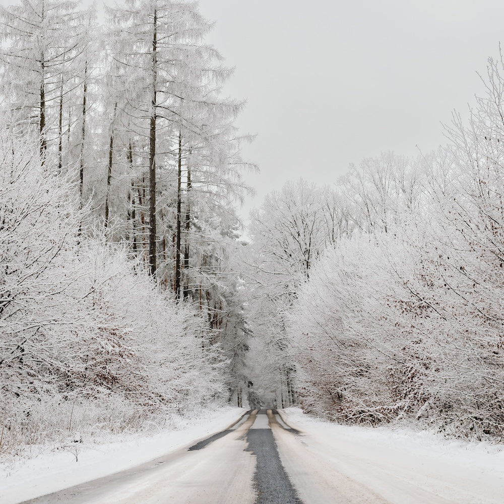 Winter Skin Care Essentials: Combatting Dryness and Rosacea During Calgary's Cold Months